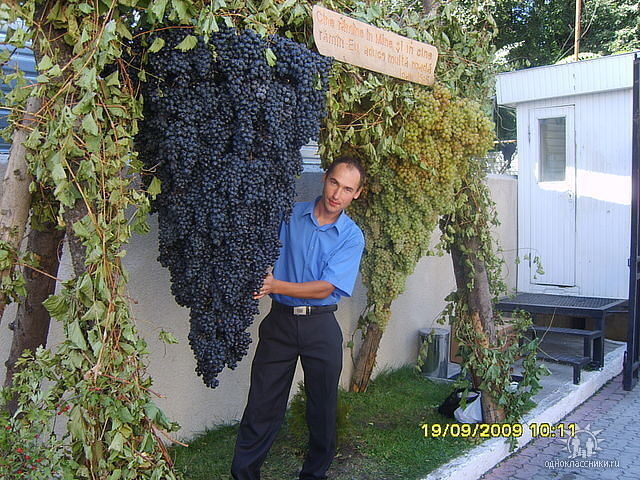  9569496  Almaz, 38 ,    -