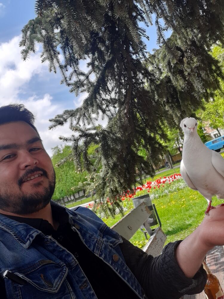 ���� 24205866 ������� ����, 36 ���, ���� ���������� � ��������