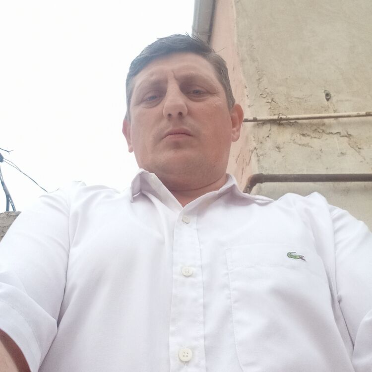 ���� 43684256 ������� ������, 40 ���, ���� ���������� � ����