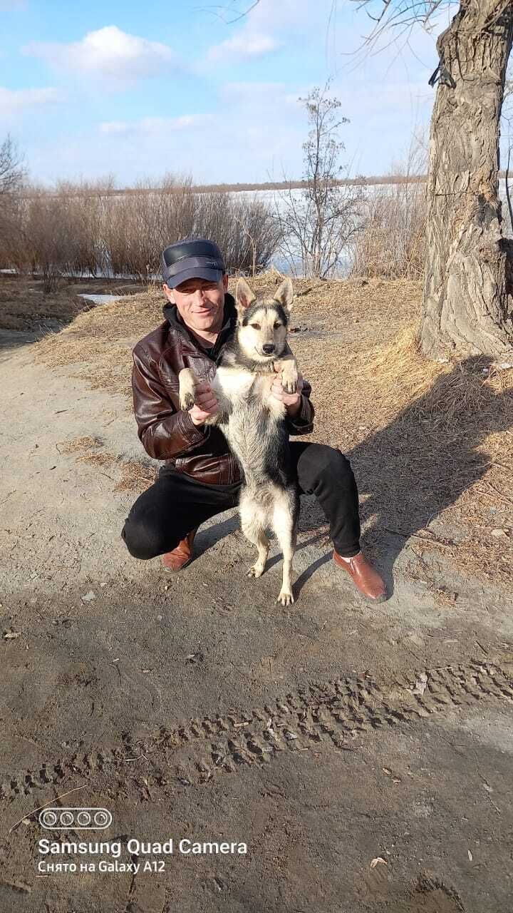 ���������� ���������, ���� ������� ����, 38 ���, ������������ 