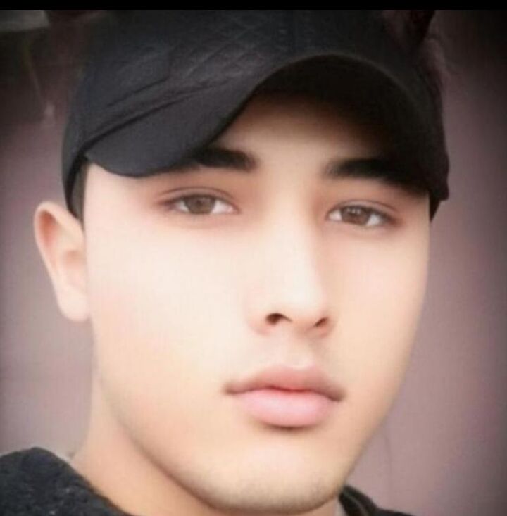 ���� 35373986 ������� �����, 33 ����, ���� ���������� � ������