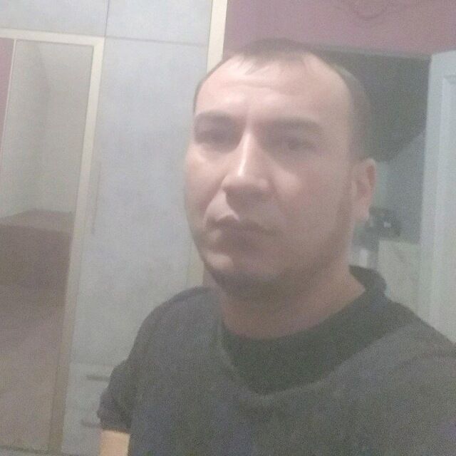  50006206  , 36 ,    