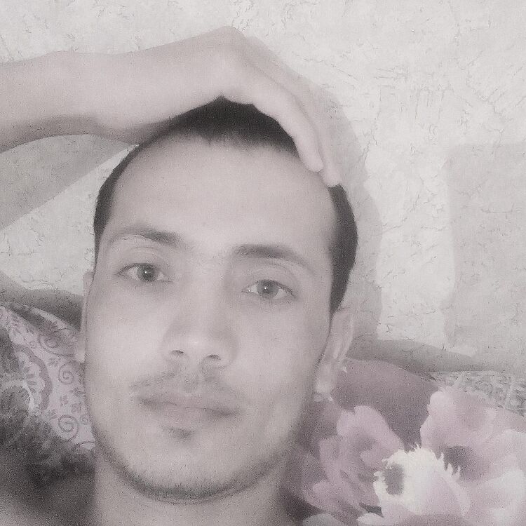  25070456  , 36 ,    