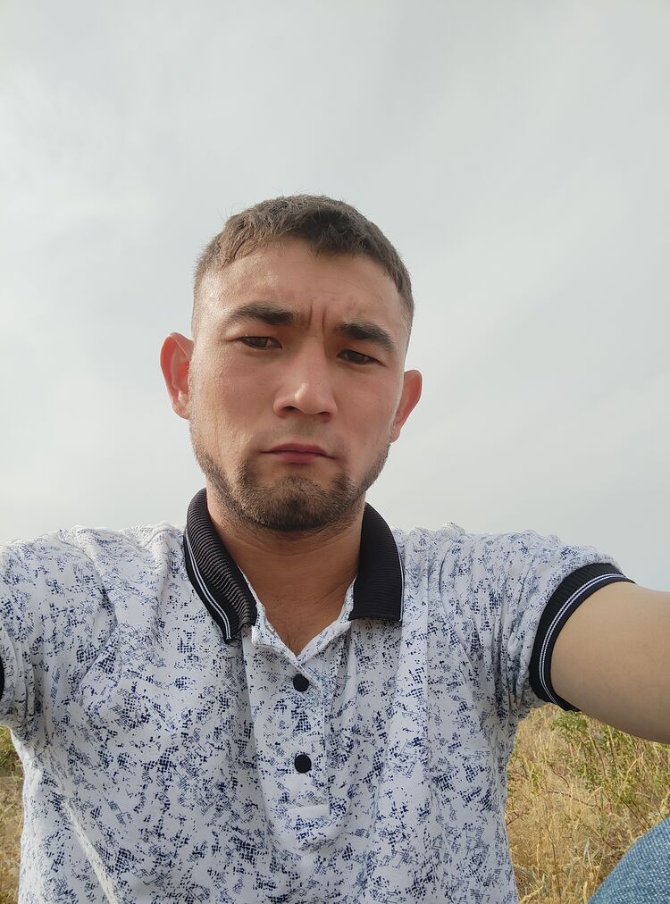  38738866  , 28 ,    