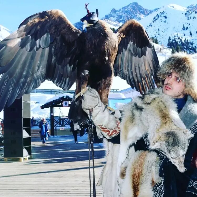 ���� 55497506 ������� Sherzod, 29 ���, ���� ���������� � Alhambra