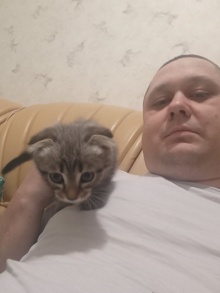 ���� 46068206 ������� ����, 32 ����, ���� ���������� � �����-����������