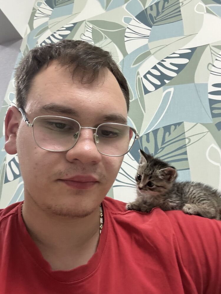  52876446  , 21 ,    Deleted