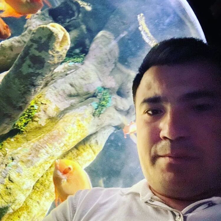 ���� 43331126 ������� Kabul, 31 ���, ���� ���������� � ��������