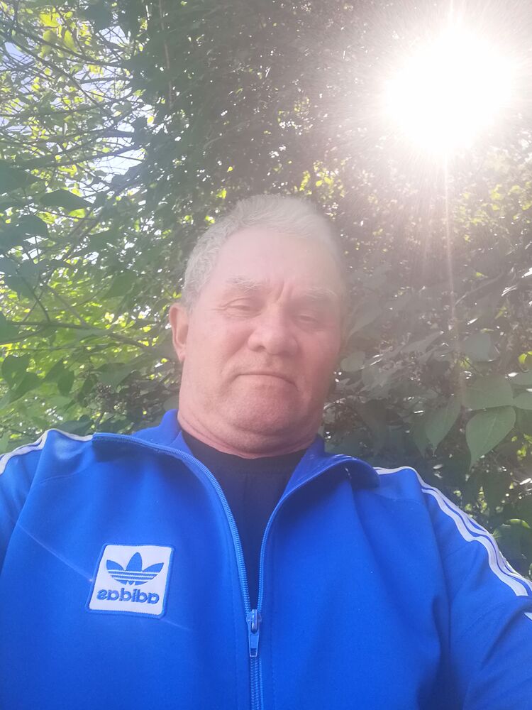 ���� 42986286 ������� ���������, 64 ����, ���� ���������� � ������