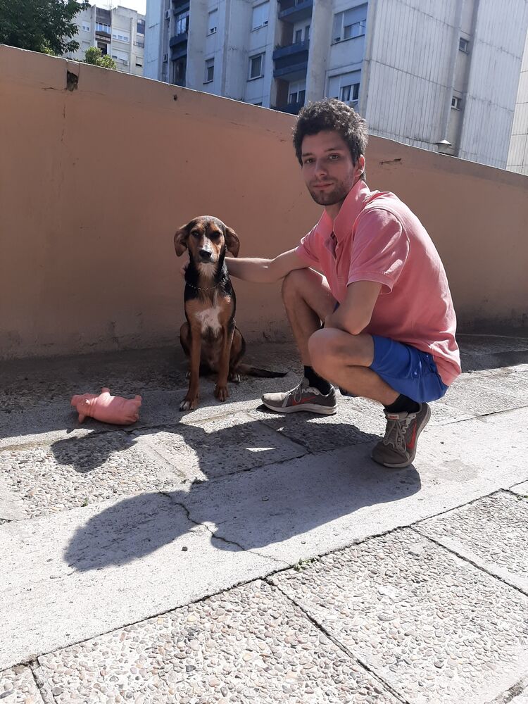  30739466  Mihailo, 31 ,    