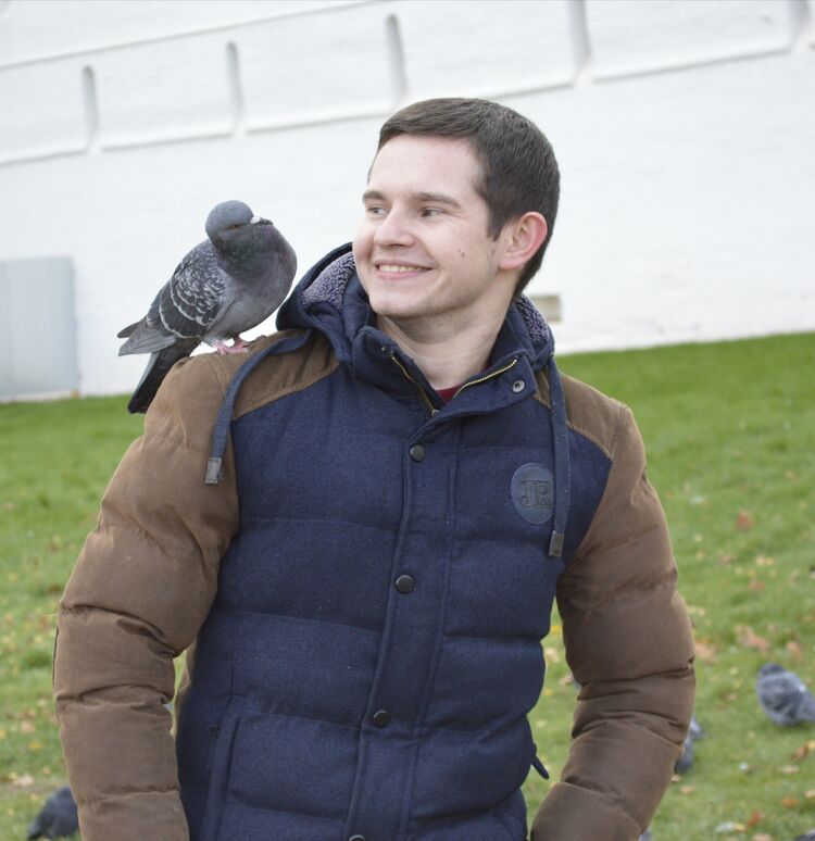 ���������� �����, ���� ������� ����, 29 ���, ������������ ��� ������, ����� � ���������, c�������� ���������, ���������