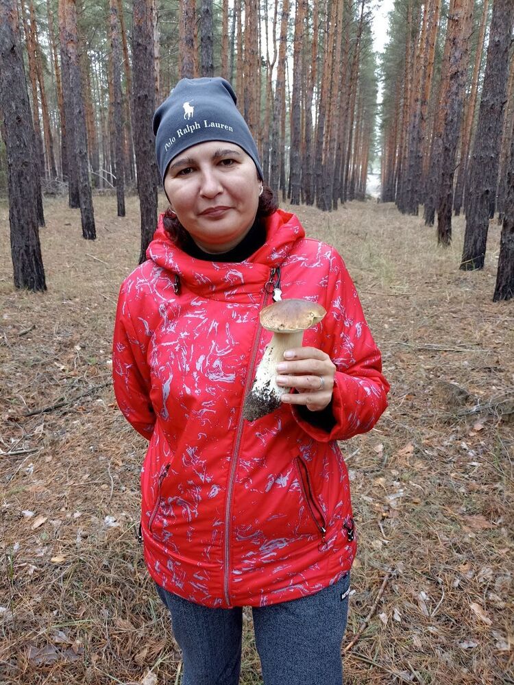 ���� 55738616 ������� ����, 37 ���, ���� ���������� � ��������