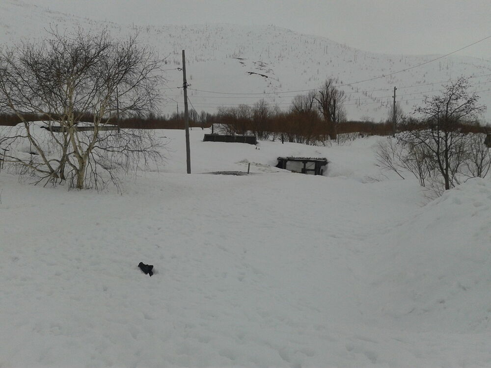  5797146  Aleksei, 48 ,    