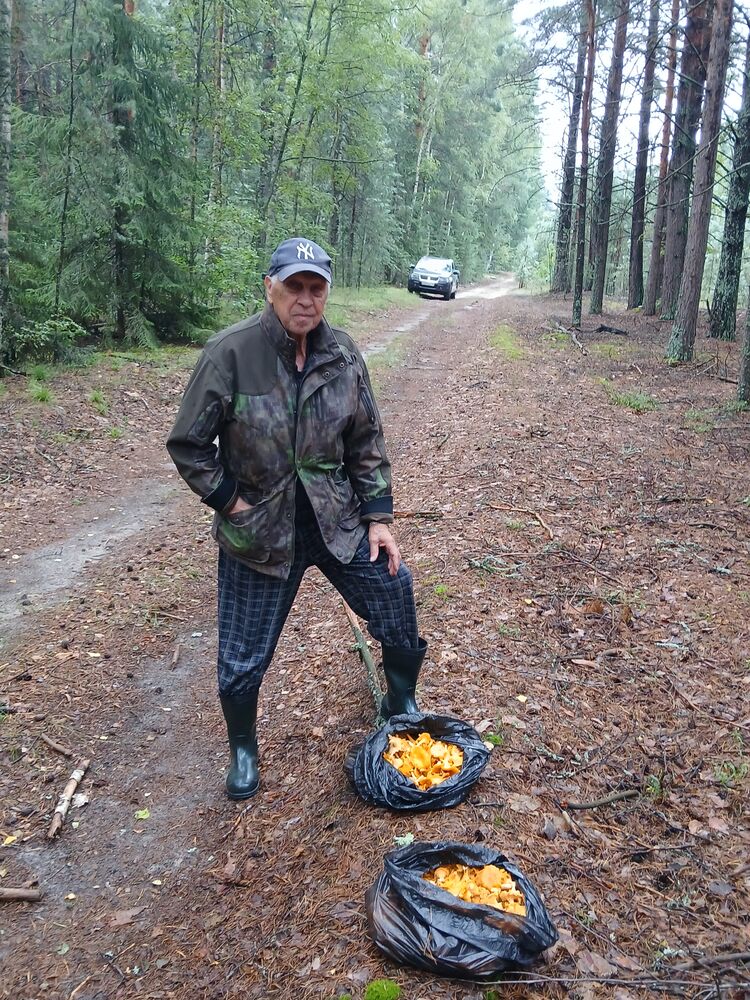 ���������� ������, ���� ������� �����, 76 ���, ������������ ��� c�������� ���������