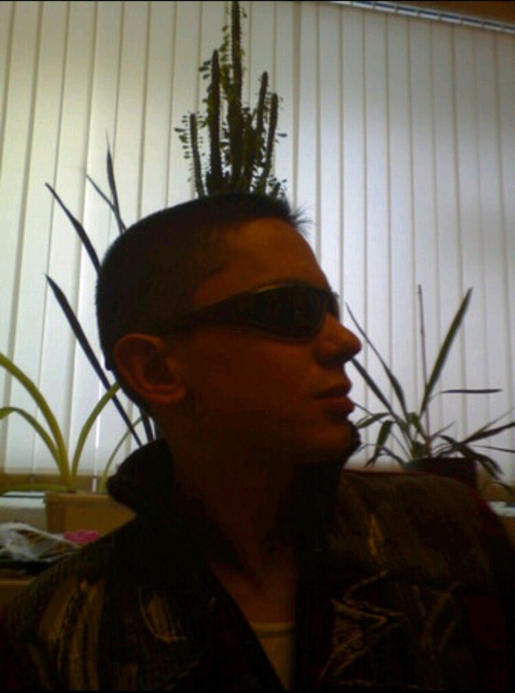   ,   , 41 ,   