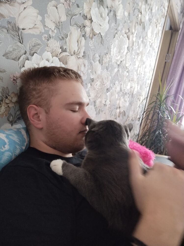 ���� 56031896 ����� ��������, 23 ����, ���� ���������� � �������