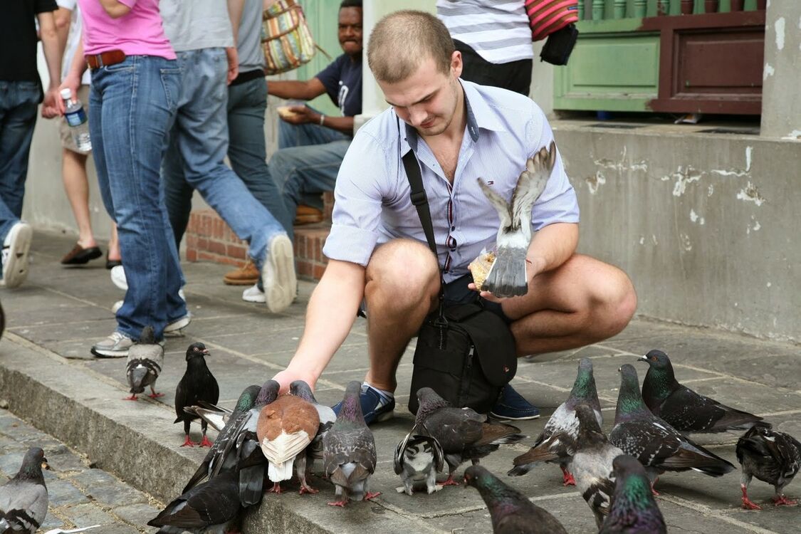 ���������� ������, ���� ������� �������, 39 ���, ������������ ��� ������