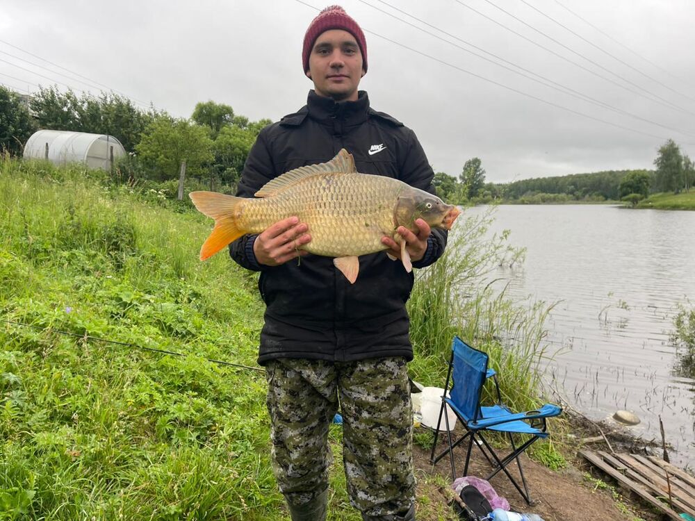 ���� 52377576 ������� ������, 47 ���, ���� ���������� � ������