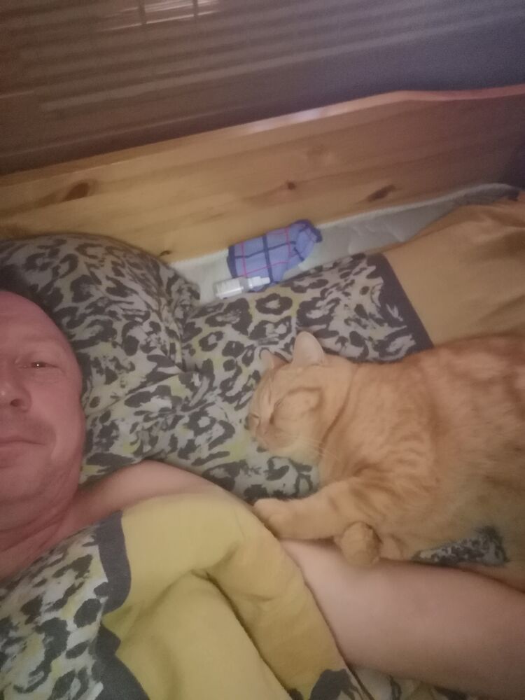 ���� 24995286 ������� �����, 49 ���, ���� ���������� � �����-����������