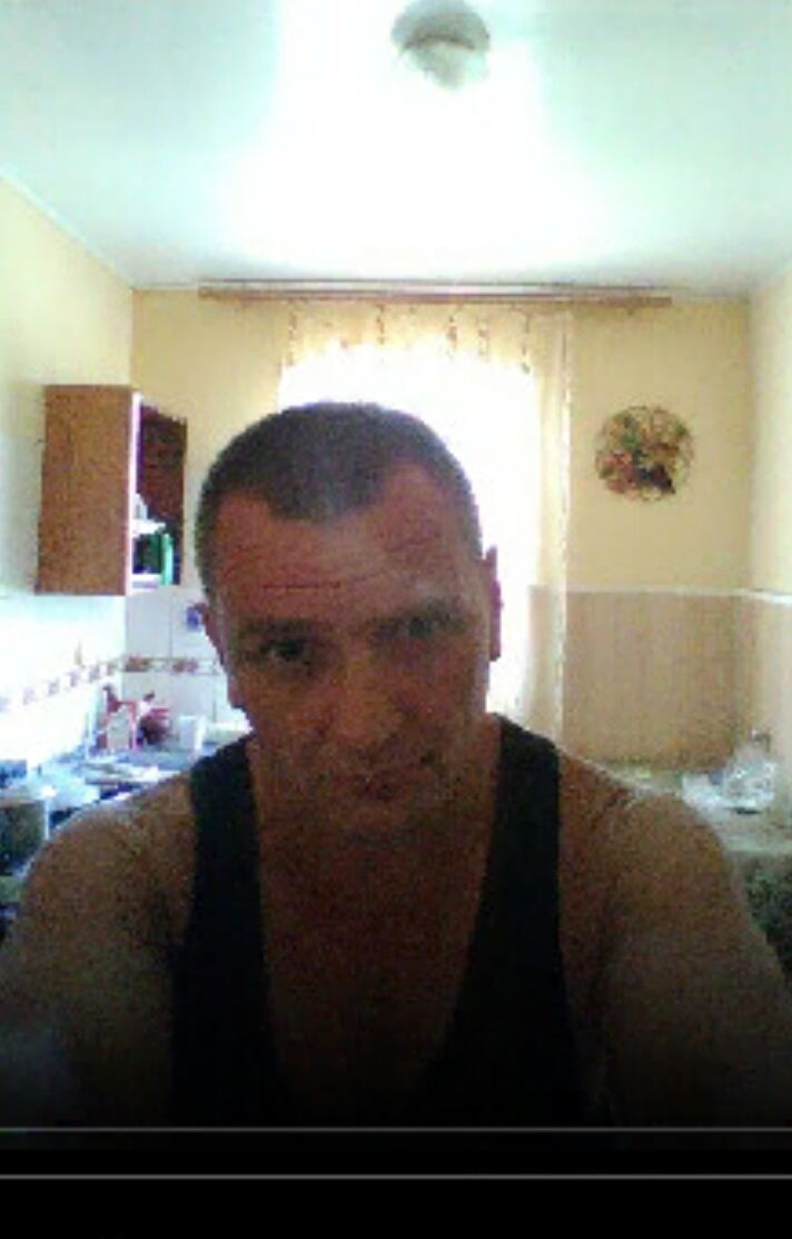  40589356  , 43 ,    