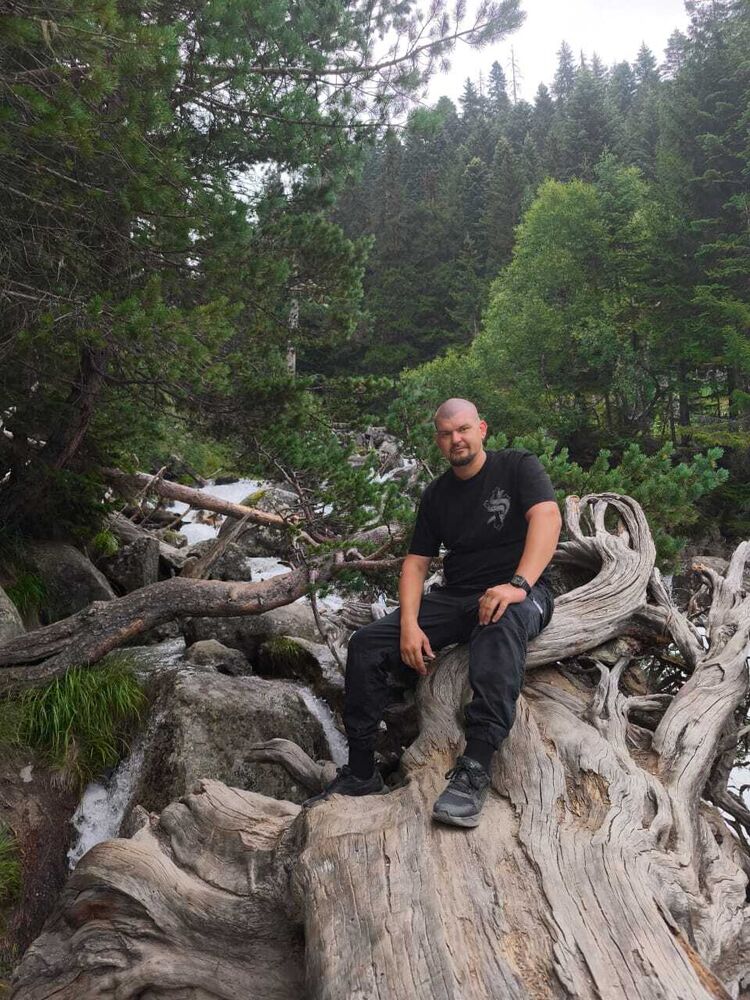  53168956  , 38 ,    --