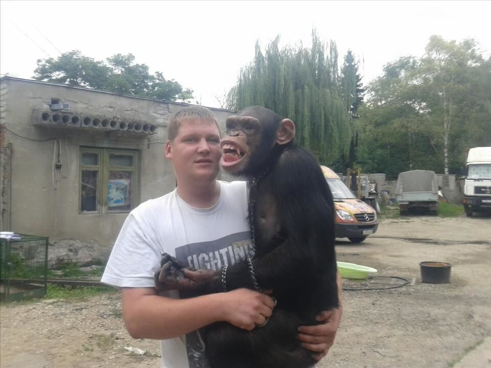 ���������� ������������, ���� ������� ��������, 38 ���, ������������ ��� ������, ����� � ���������, c�������� ���������