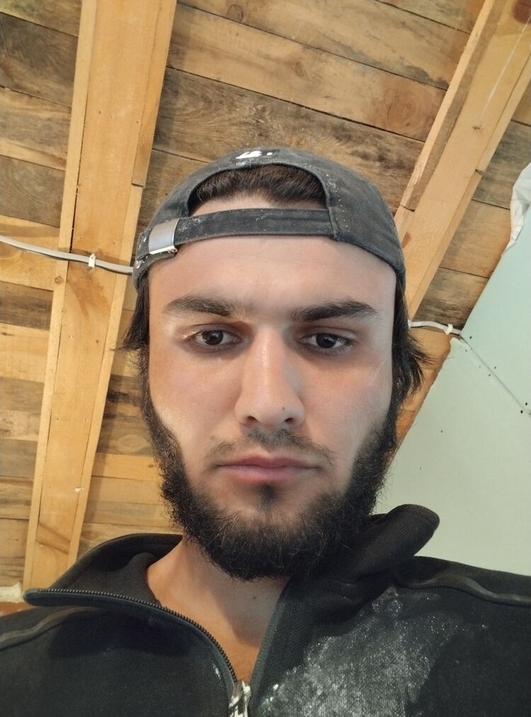  53502886  , 29 ,    