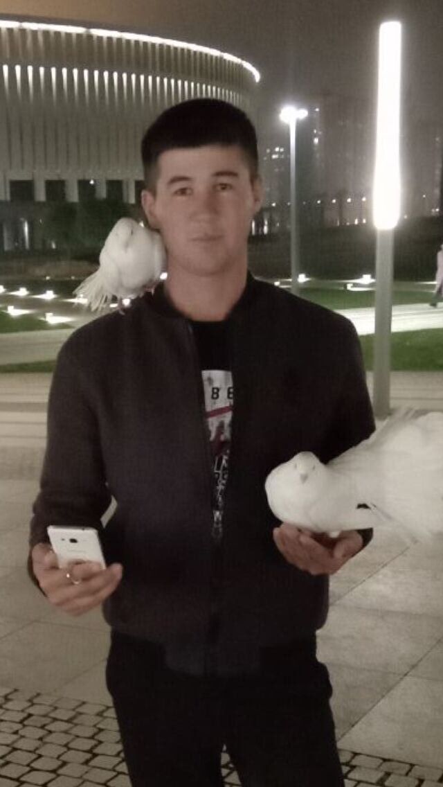 ���������� ������, ���� ������� ��������, 31 ���, ������������ ��� ������, ����� � ���������