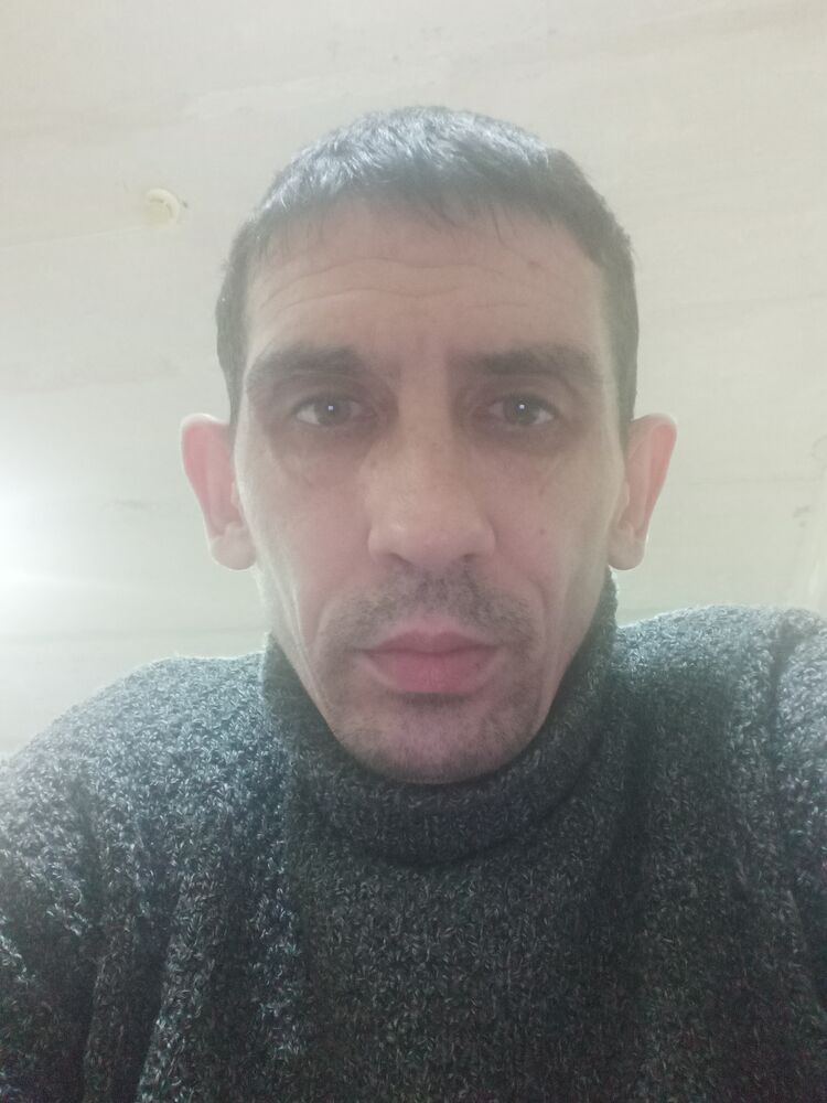  44657586  , 44 ,    