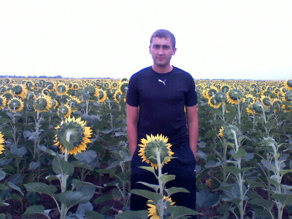 ���� 21785646 ������� ������, 44 ����, ���� ���������� � �����������