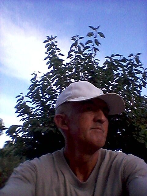 ���� 16806526 ������� ����, 51 ���, ���� ���������� � ������