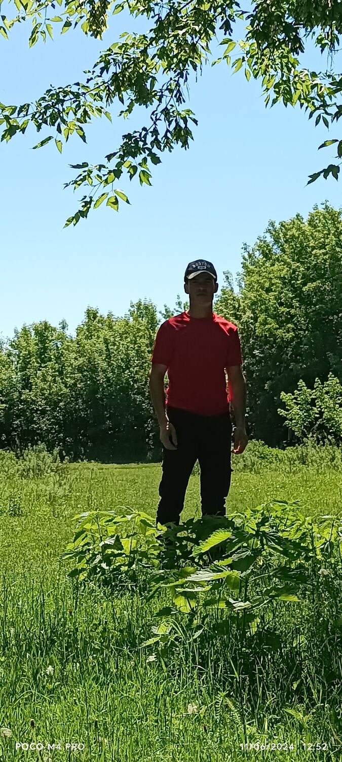 ���������� ���, ���� ������� ������, 26 ���, ������������ ��� ������, ����� � ���������, c�������� ���������, ���������