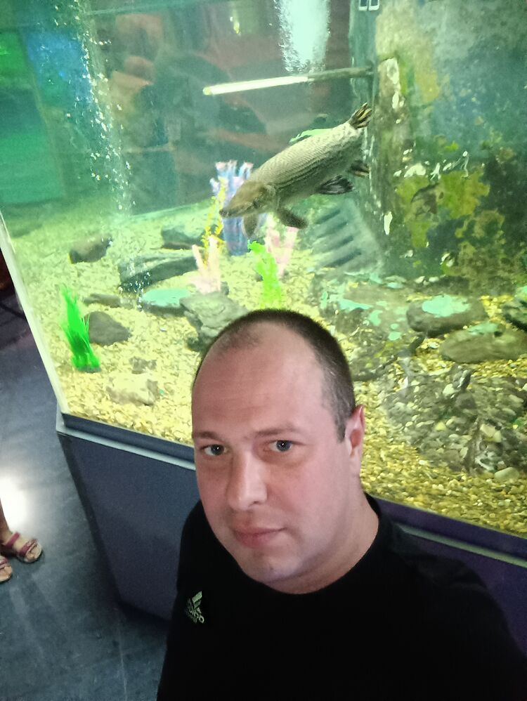 ���� 43784186 ������� �������, 39 ���, ���� ���������� � ����������