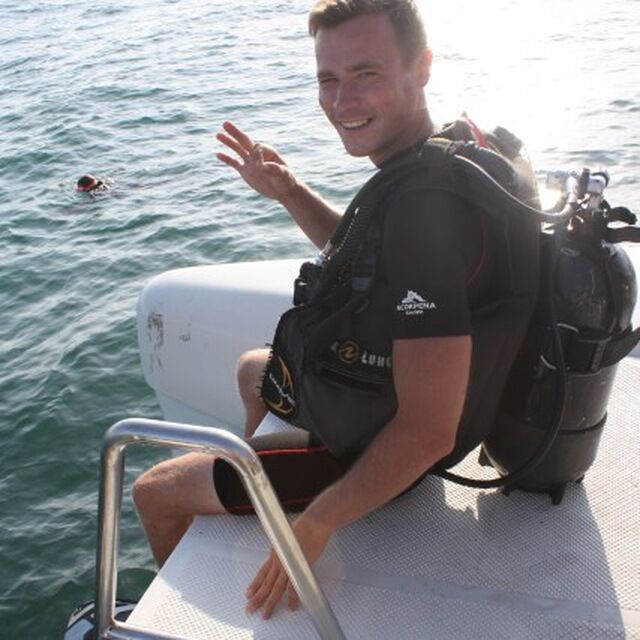  54818216  , 36 ,    -