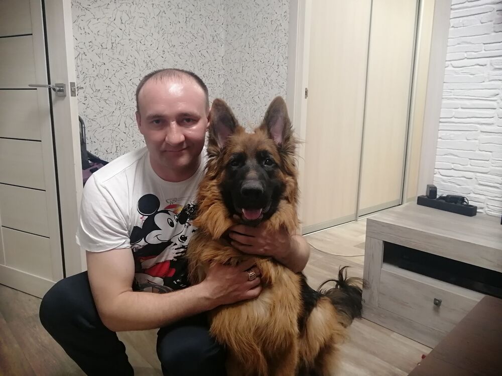 ���� 24860246 ������� �������, 43 ����, ���� ���������� � ����