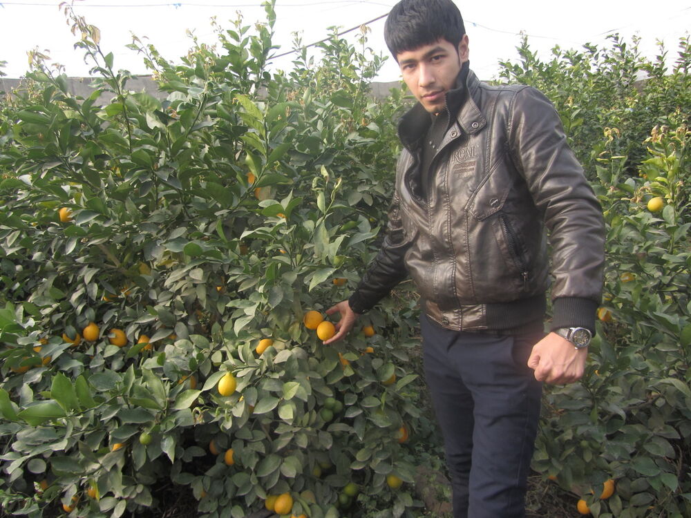 ���������� �������, ���� ������� �����, 36 ���, ������������ ��� ������, ����� � ���������, c�������� ���������