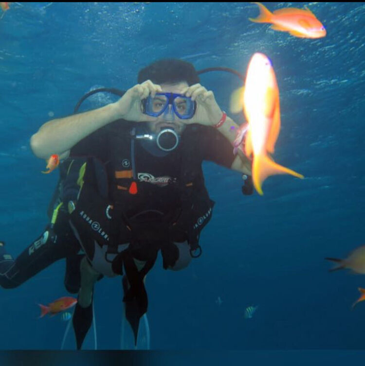 ���� 41542626 ������� �����, 37 ���, ���� ���������� � �������