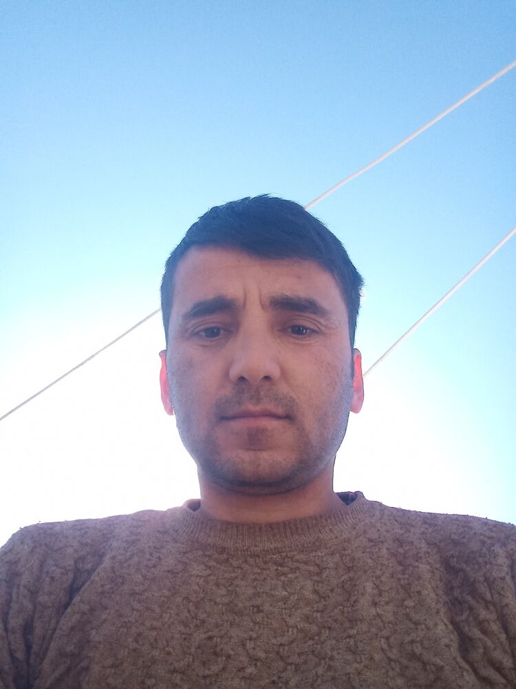  33833096  , 38 ,    