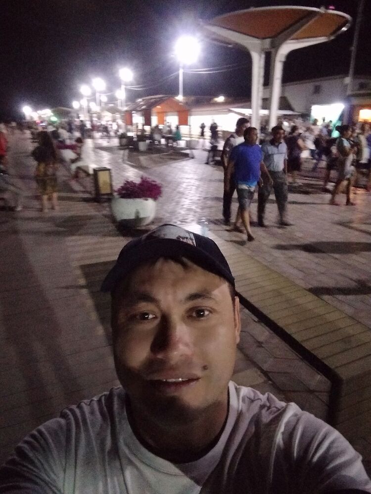  19084446  T, 34 ,    -