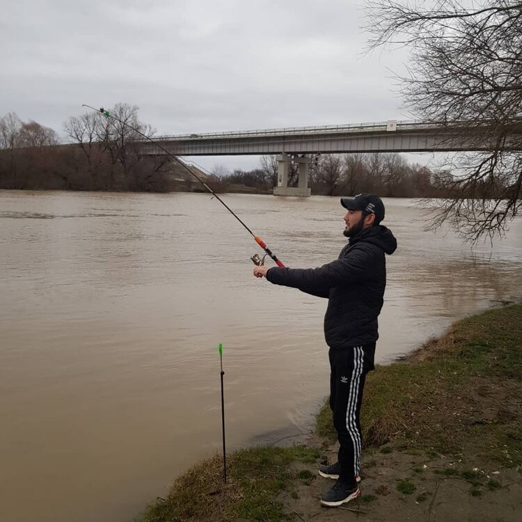 ���� 24793336 ������� ������, 30 ���, ���� ���������� � �����