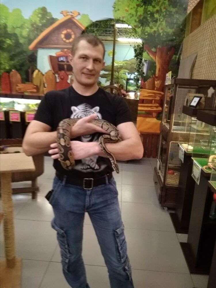 ���������� �������, ���� ������� ������, 40 ���, ������������ ��� ������, ����� � ���������