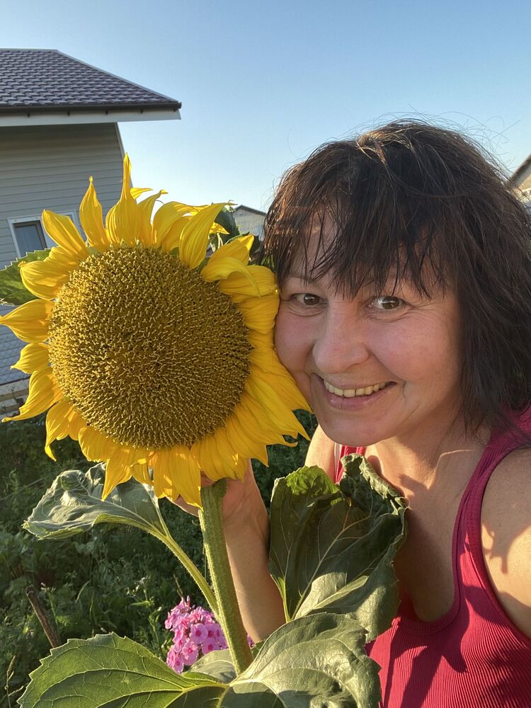 ���� 53827706 ������� �����, 53 ����, ���� ���������� � ������