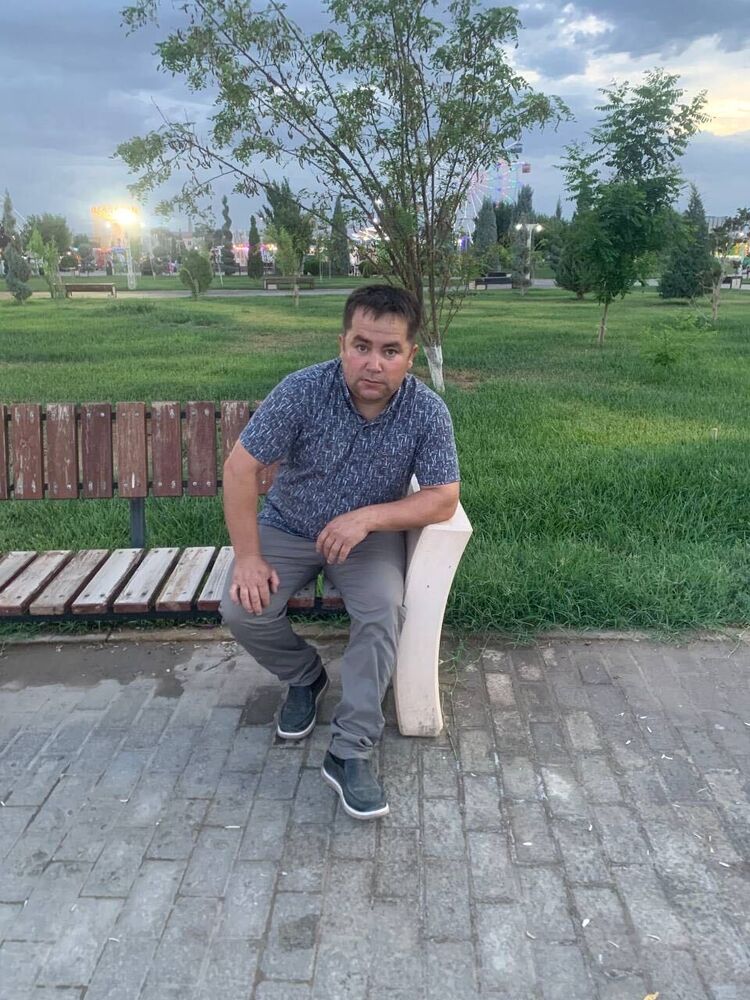  50513676  , 29 ,    