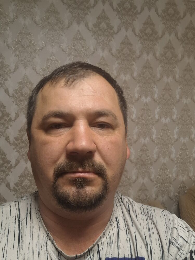  53943786  , 43 ,    