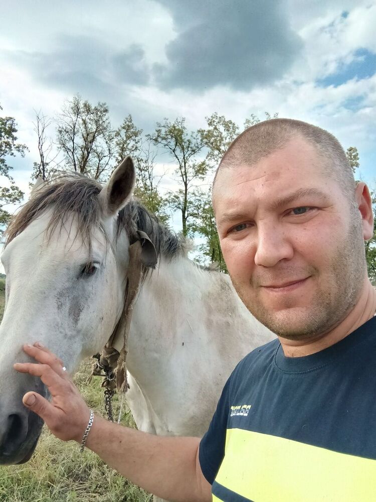 ���� 43881046 ������� �������, 40 ���, ���� ���������� � ���������