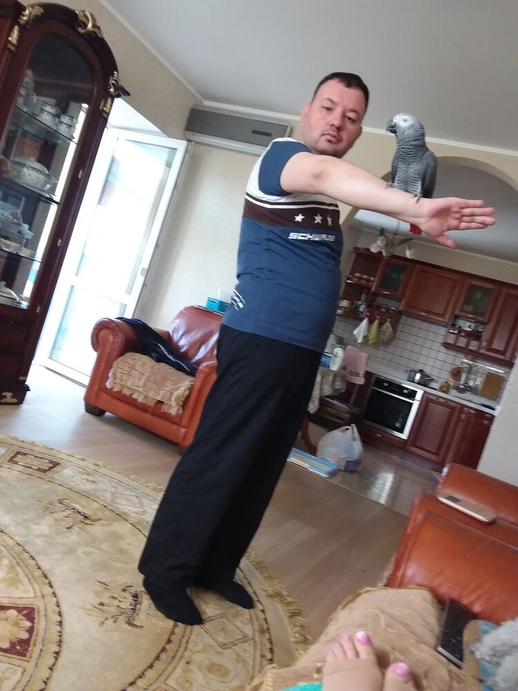 ���������� ����, ���� ������� �����, 43 ����, ������������ ��� ������, ����� � ���������, c�������� ���������