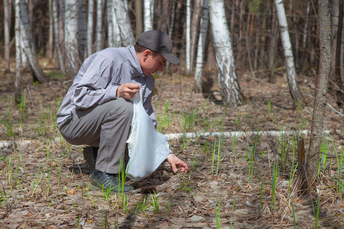 ���������� ������������, ���� ������� �������, 32 ����, ������������ ��� ������, ����� � ���������, c�������� ���������, ���������