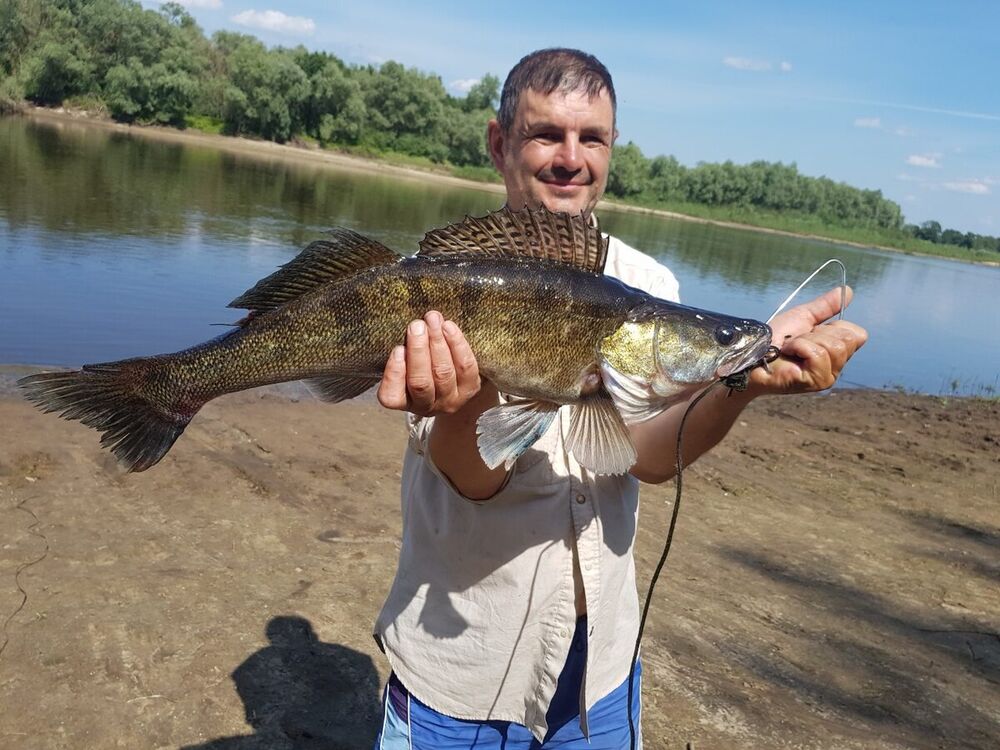 ���������� �����, ���� ������� ������, 56 ���, ������������ ��� ������, ����� � ���������, c�������� ���������