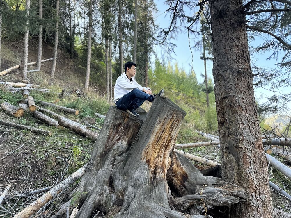 ���������� ������, ���� ����� ������, 20 ���, ������������ ��� ������, ����� � ���������