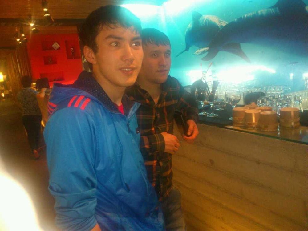 ���������� ����-���������, ���� ������� Maruf, 31 ���, ������������ ��� ������, ����� � ���������